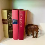 Suburban Loft דירה
